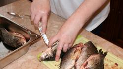 پخت ماهی کپور چلیپایی با استفاده از فر پخت ماهی کپور چلیپایی در فر