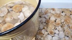 Delicious salted milk mushrooms in jars: a simple and easy recipe for preparing for the winter