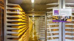 Beskrivelse av egenskapene til Gruyère-ost med bilder, dens fordelaktige egenskaper, samt bruken av det sveitsiske produktet i oppskrifter