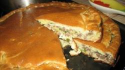 Kefir jellied pie with minced meat and potatoes recipe with photo